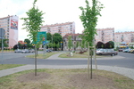 Kalisz 4 DSC_0008.JPG